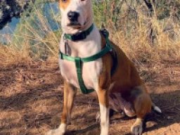 greybull_pit_20220113_1014027019